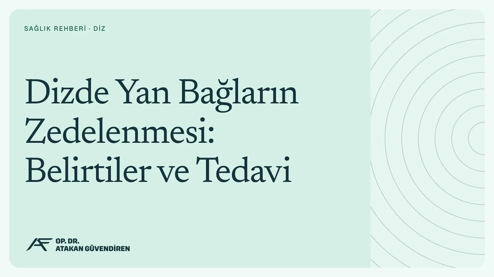 Dizde Yan Bağların Zedelenmesi: Belirtiler ve Tedavi